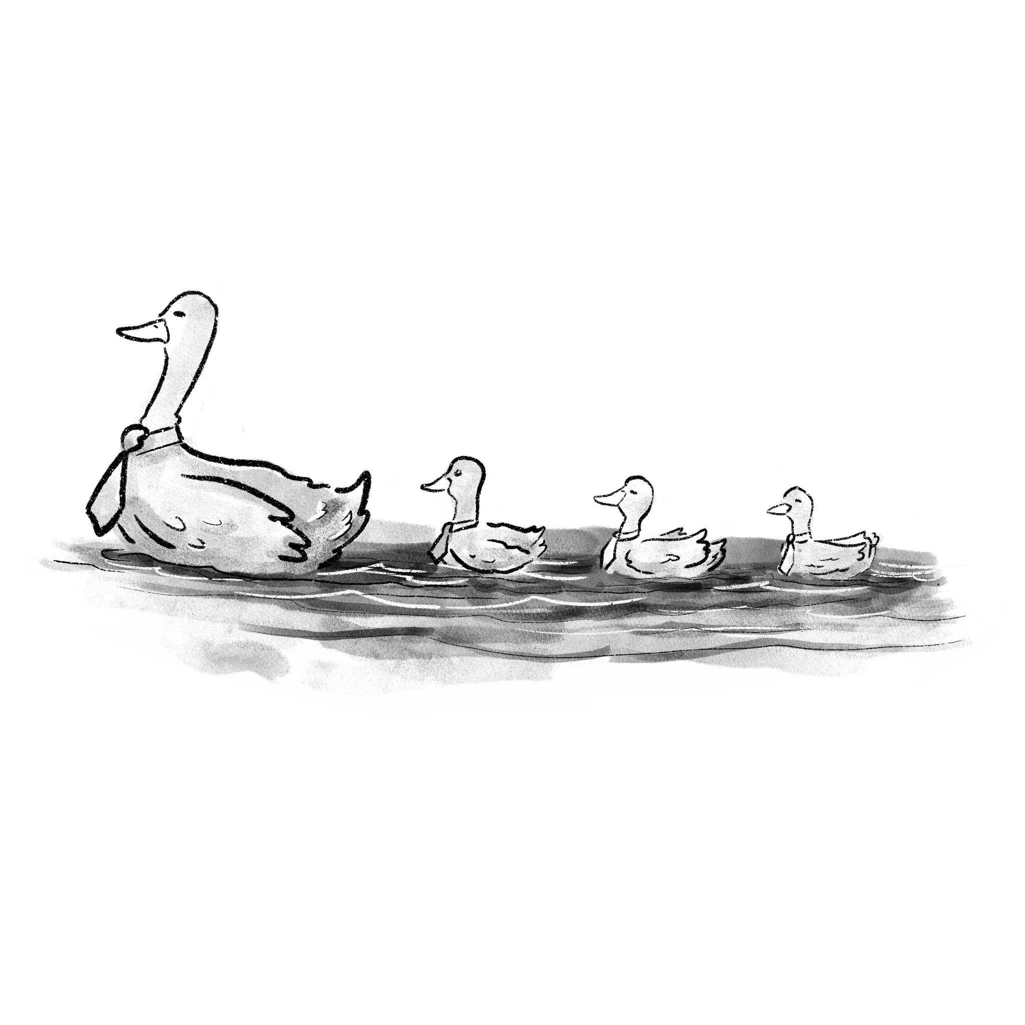 Ducks and ducklings